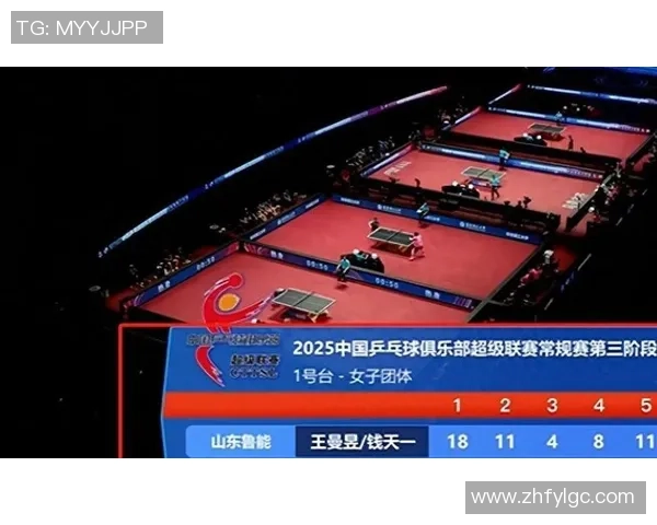 杭州乒乓球队实力引发热议球迷与专家观点交锋解析